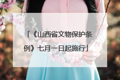《山西省文物保护条例》七月一日起施行