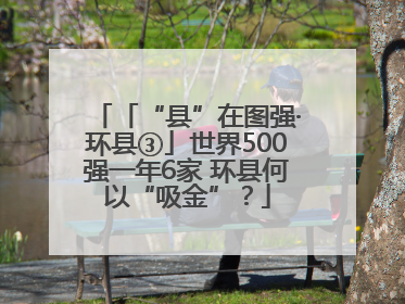 「“县”在图强·环县③」世界500强一年6家 环县何以“吸金”？
