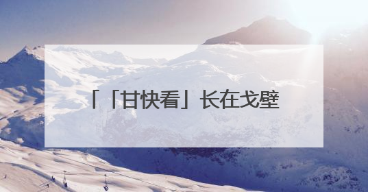 「甘快看」长在戈壁大漠的绿色蔬菜38小时直达粤港澳餐桌