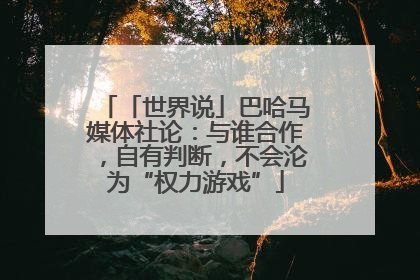 「世界说」巴哈马媒体社论：与谁合作，自有判断，不会沦为“权力游戏”