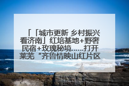 「城市更新 乡村振兴看济南」红培基地+野奢民宿+玫瑰秘境……打开莱芜“齐鲁情映山红片区”的破圈秘籍