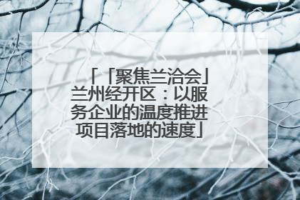 「聚焦兰洽会」兰州经开区：以服务企业的温度推进项目落地的速度