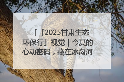 「2025甘肃生态环保行」视觉｜今夏的心动密码，藏在冰沟河的潋滟波光里