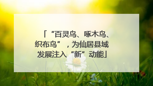 “百灵鸟、啄木鸟、织布鸟”，为仙居县域发展注入“新”动能