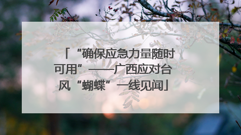 “确保应急力量随时可用”——广西应对台风“蝴蝶”一线见闻