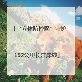 “立体防控网”守护152公里长江岸线
