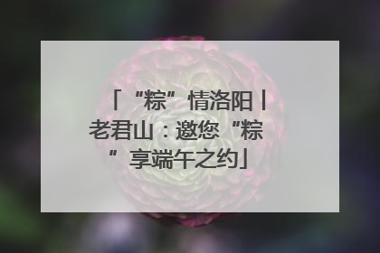 “粽”情洛阳丨老君山：邀您“粽”享端午之约