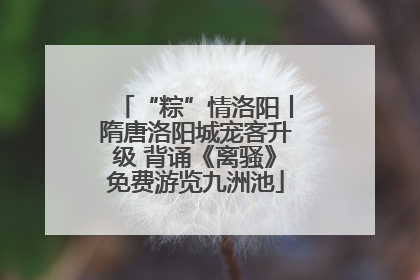 “粽”情洛阳丨隋唐洛阳城宠客升级 背诵《离骚》免费游览九洲池