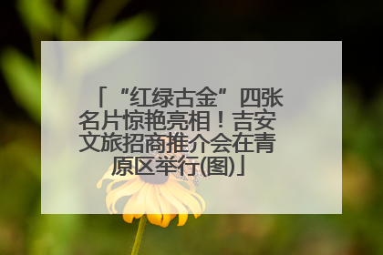 “红绿古金”四张名片惊艳亮相！吉安文旅招商推介会在青原区举行(图)