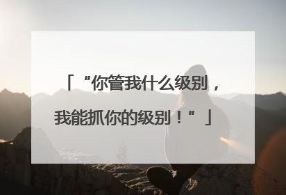 “你管我什么级别，我能抓你的级别！”