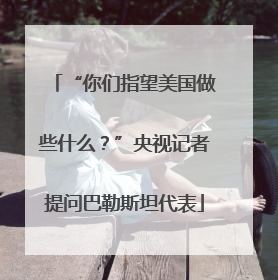 “你们指望美国做些什么？”央视记者提问巴勒斯坦代表