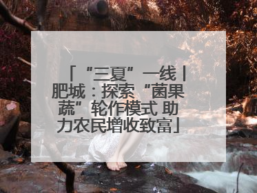 “三夏”一线丨肥城：探索“菌果蔬”轮作模式 助力农民增收致富