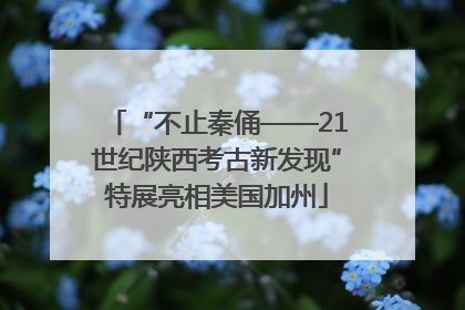“不止秦俑——21世纪陕西考古新发现”特展亮相美国加州