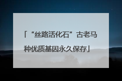 “丝路活化石”古老马种优质基因永久保存