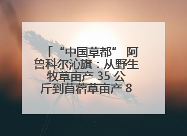 “中国草都” 阿鲁科尔沁旗：从野生牧草亩产 35 公斤到苜蓿草亩产 800 公斤以上