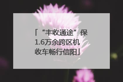“丰收通途”保1.6万余跨区机收车畅行信阳
