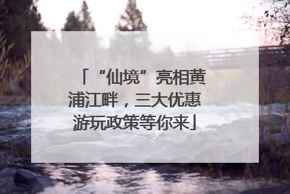 “仙境”亮相黄浦江畔，三大优惠游玩政策等你来