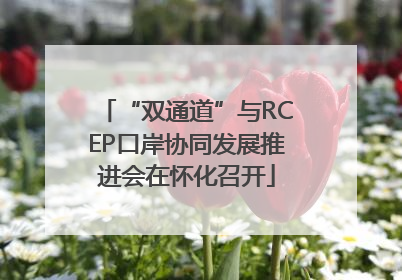 “双通道”与RCEP口岸协同发展推进会在怀化召开