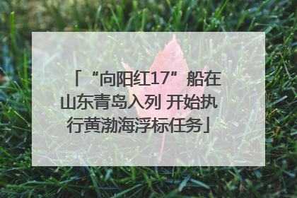 “向阳红17”船在山东青岛入列 开始执行黄渤海浮标任务