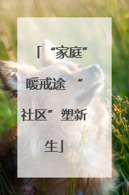 “家庭”暖戒途 “社区”塑新生