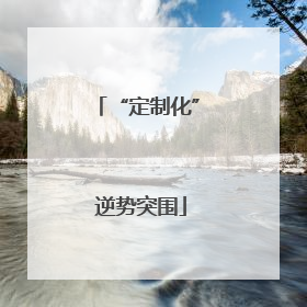 “定制化” 逆势突围