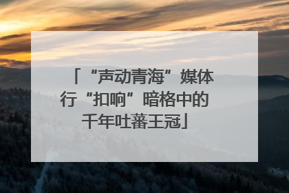“声动青海”媒体行“扣响”暗格中的千年吐蕃王冠