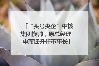 “头号央企”中核集团换帅，原总经理申彦锋升任董事长