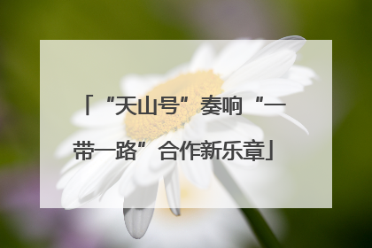 “天山号”奏响“一带一路”合作新乐章