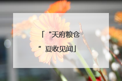 “天府粮仓”夏收见闻