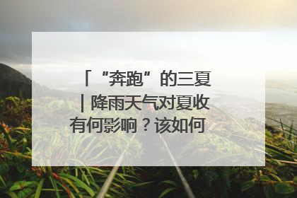 “奔跑”的三夏｜降雨天气对夏收有何影响？该如何防范？一文了解