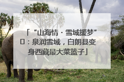 “山海情・雪域援梦”⑪：泉润雪域，白朗县变身西藏最大菜篮子