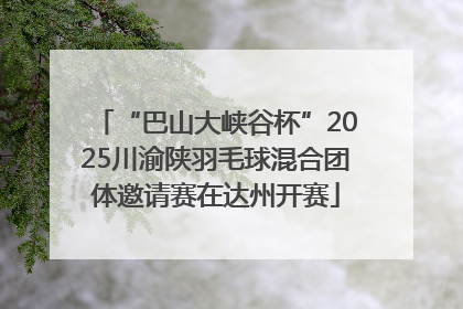 “巴山大峡谷杯”2025川渝陕羽毛球混合团体邀请赛在达州开赛