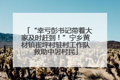 “幸亏彭书记带着大家及时赶到！”宁乡黄材镇崔坪村驻村工作队救助中暑村民