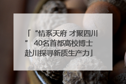 “情系天府 才聚四川” 40名首都高校博士赴川探寻新质生产力
