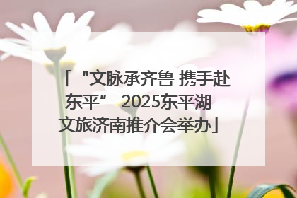 “文脉承齐鲁 携手赴东平” 2025东平湖文旅济南推介会举办