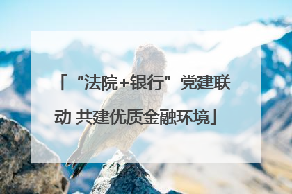 “法院+银行”党建联动 共建优质金融环境
