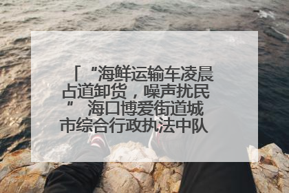 “海鲜运输车凌晨占道卸货，噪声扰民” 海口博爱街道城市综合行政执法中队：将联合交警加强长堤路一带巡逻