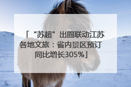 “苏超”出圈联动江苏各地文旅：省内景区预订同比增长305%