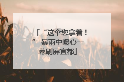 “这伞您拿着！” 暴雨中暖心一幕刷屏宜都