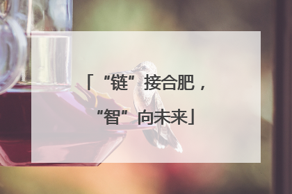 “链”接合肥，“智”向未来