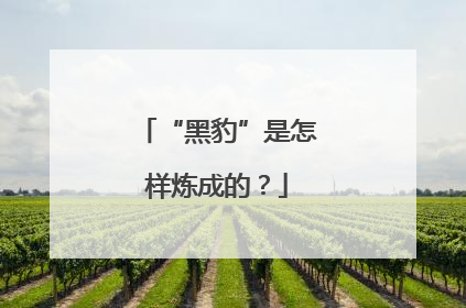 “黑豹”是怎样炼成的？
