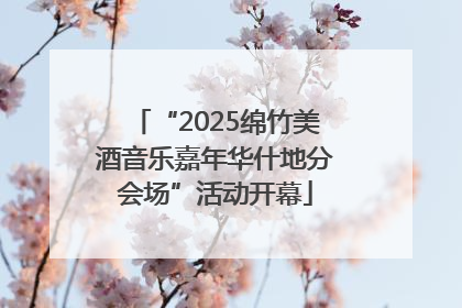 “2025绵竹美酒音乐嘉年华什地分会场”活动开幕