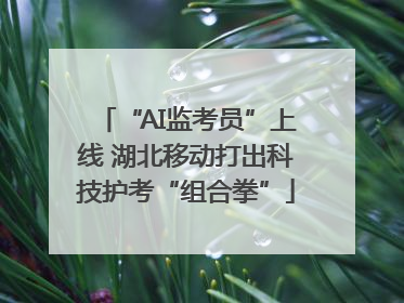 “AI监考员”上线 湖北移动打出科技护考“组合拳”