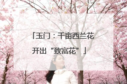 玉门：千亩西兰花开出“致富花”