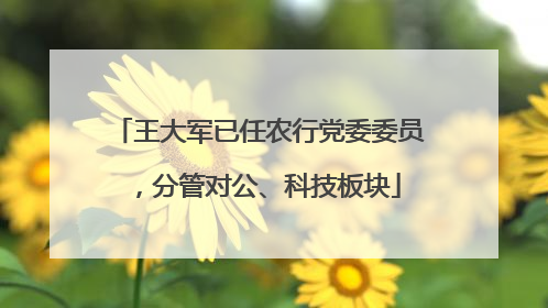 王大军已任农行党委委员，分管对公、科技板块