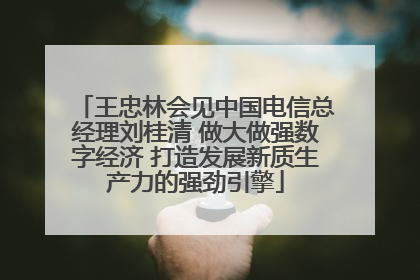 王忠林会见中国电信总经理刘桂清 做大做强数字经济 打造发展新质生产力的强劲引擎
