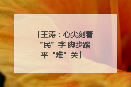王涛：心尖刻着“民”字 脚步踏平“难”关