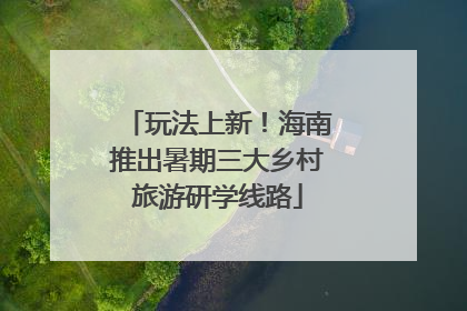 玩法上新！海南推出暑期三大乡村旅游研学线路