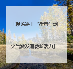 现场评丨“街巷”烟火气激发消费新活力