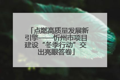 点燃高质量发展新引擎——忻州市项目建设“冬季行动”交出亮眼答卷